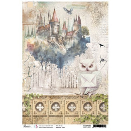 copy of 
